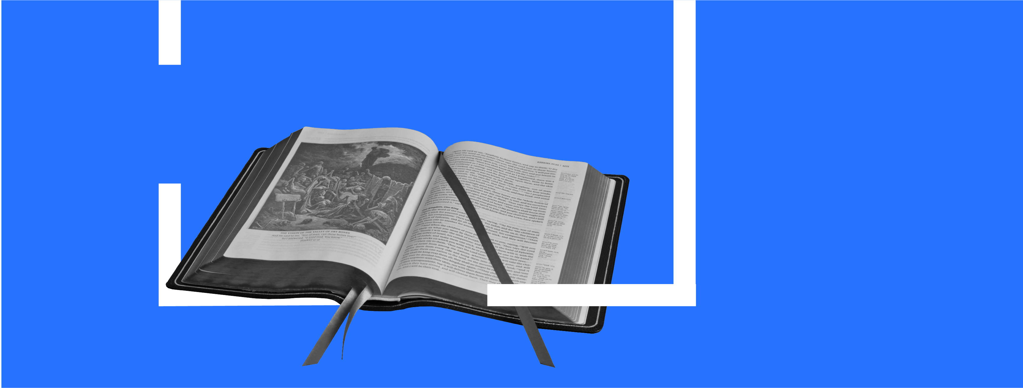 Книгобатл Валентини Захабури і Ольги Войтенко: яка книжка для підлітків здобуде перемогу?