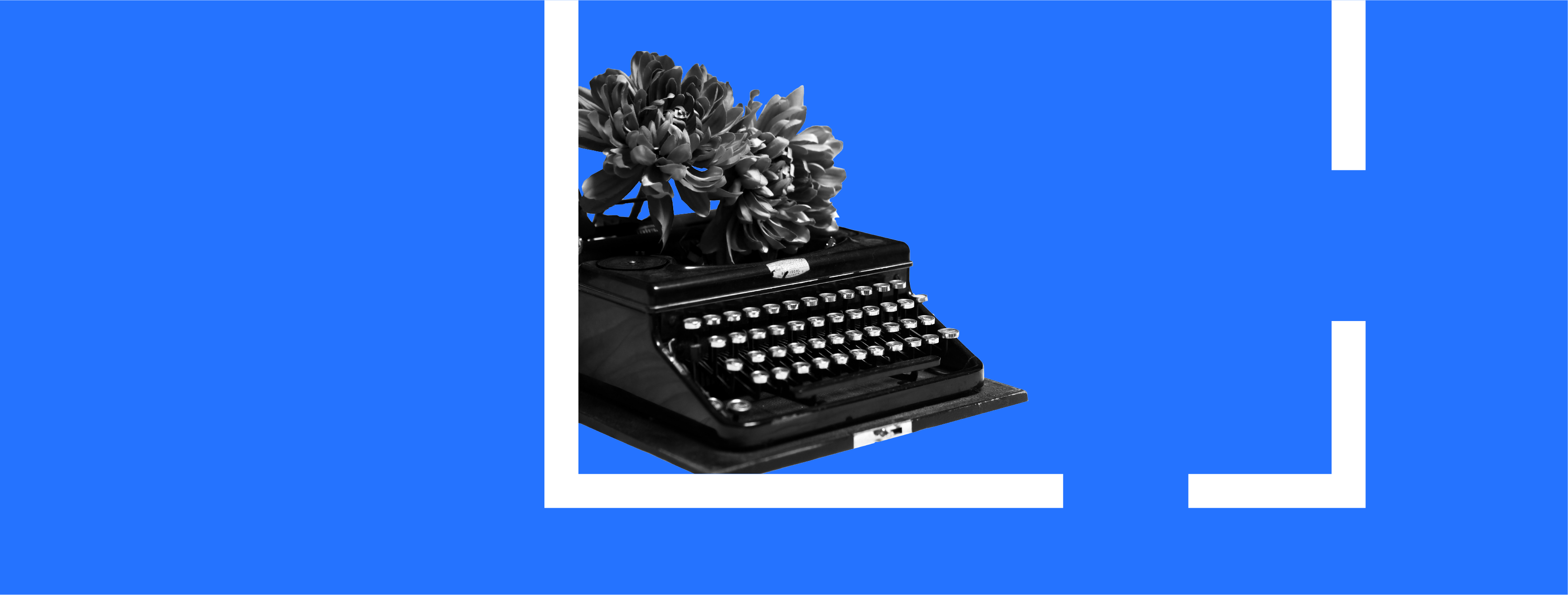 Поезія та музика non-stop.  Як минатиме найочікуваніша ніч на 27 BookForum